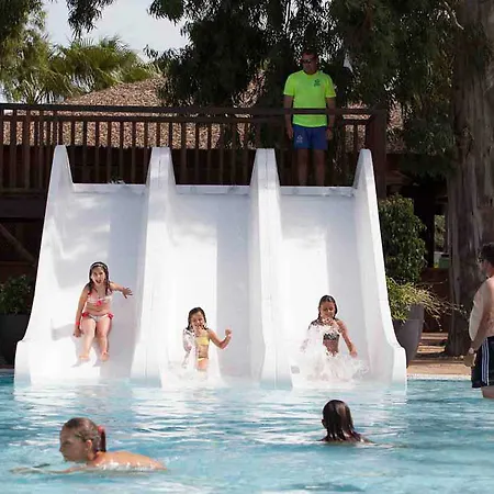 Alegria Pineda Splash